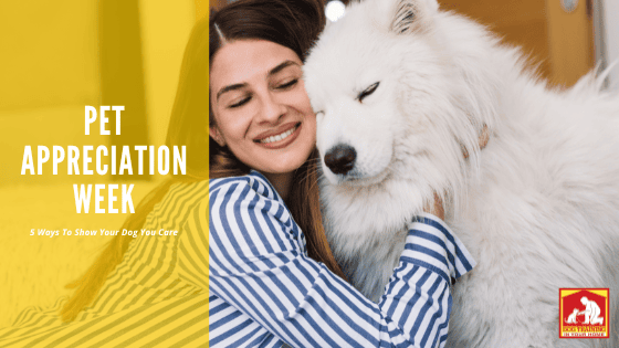 Pet Appreciation Week | Dog Training In Your Home Columbia
